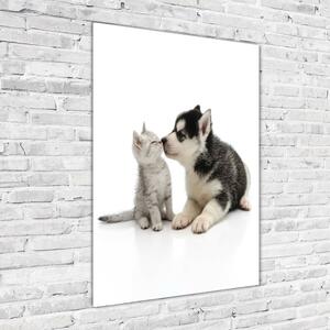 Vertikální Foto obraz sklo tvrzené Pes a kočka osv-73561386