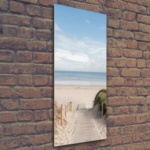 Vertikální Foto obraz skleněný svislý Stezka na pláž osv-74072436