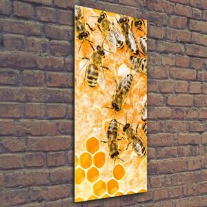 Vertikální Fotoobraz na skle Pracující včely osv-74378590