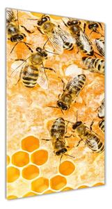 Vertikální Fotoobraz na skle Pracující včely osv-74378590