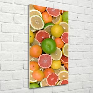 Vertikální Fotoobraz na skle Citrusové ovoce osv-75213206
