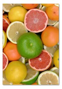 Vertikální Fotoobraz na skle Citrusové ovoce osv-75213206