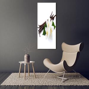 Vertikální Foto obraz skleněný svislý Jasmín a vanilka osv-75941522