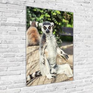 Vertikální Fotoobraz skleněný na stěnu do obýváku Lemur osv-75982744