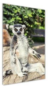 Vertikální Fotoobraz skleněný na stěnu do obýváku Lemur osv-75982744