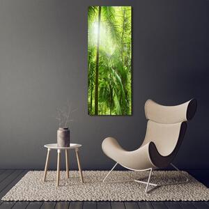Vertikální Foto obraz na plátně Deštný prales ocv-76332675