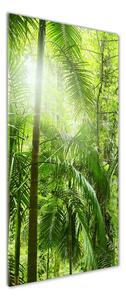 Vertikální Foto obraz sklo tvrzené Deštný prales osv-76332675
