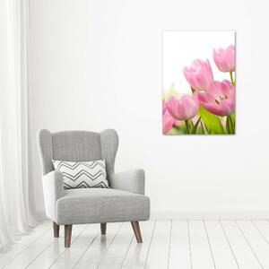 Vertikální Fotoobraz na skle Růžové tulipány osv-76412458