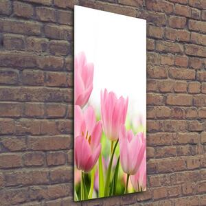 Vertikální Fotoobraz na skle Růžové tulipány osv-76412458