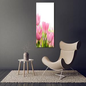 Vertikální Foto obraz na plátně Růžové tulipány ocv-76412458
