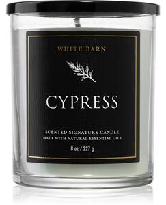 Bath & Body Works Cypress vonná svíčka 227 g