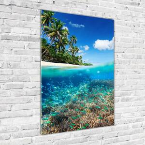 Vertikální Foto obraz sklo tvrzené Korálový útes osv-78236057