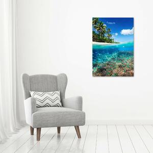 Vertikální Foto obraz na plátně Korálový útes ocv-78236057