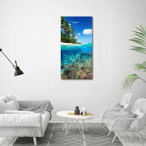 Vertikální Foto obraz sklo tvrzené Korálový útes osv-78236057