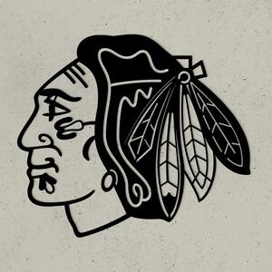 DUBLEZ | Dřevěné 3D logo - Chicago Blackhawks