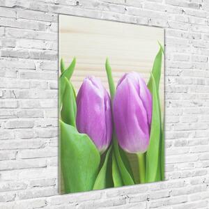 Vertikální Fotoobraz na skle Fialové tulipány osv-78755149