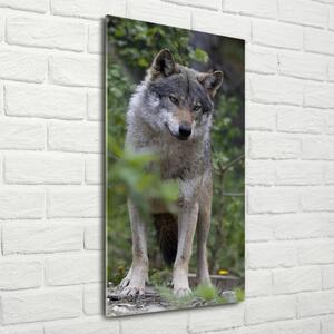 Vertikální Foto obraz sklo tvrzené Vlk v lese osv-79173731