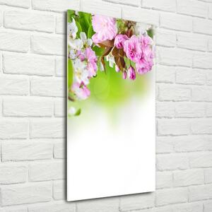 Vertikální Fotoobraz na skle Jarní květiny osv-79458656