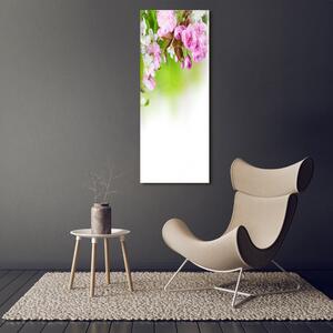 Vertikální Fotoobraz na skle Jarní květiny osv-79458656