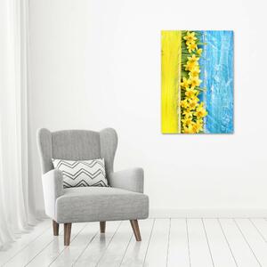 Vertikální Moderní obraz canvas na rámu Narcisy ocv-79578673