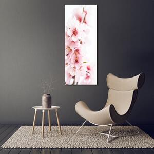 Vertikální Fotoobraz na skle Květ mandloně osv-79943111