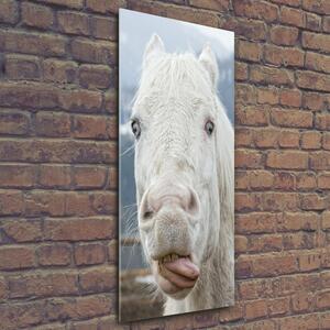 Vertikální Fotoobraz na skle Šílený bílý kůň osv-80296116