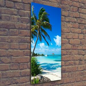 Vertikální Foto obraz skleněný svislý Tropická pláž osv-80340825