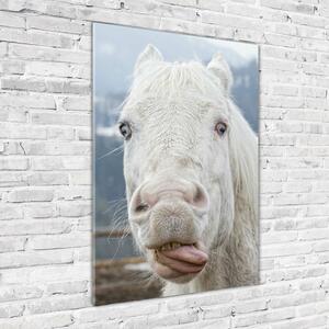 Vertikální Fotoobraz na skle Šílený bílý kůň osv-80296116