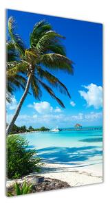 Vertikální Foto obraz skleněný svislý Tropická pláž osv-80340825
