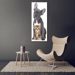 Vertikální Vertikální Foto obraz na plátně do obýváku Pes a kočka ocv-80558737