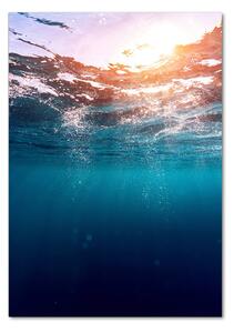 Vertikální Foto-obrah sklo tvrzené Pod vodou osv-80591143