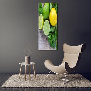 Vertikální Foto obraz na plátně Limetky a citron ocv-81072206