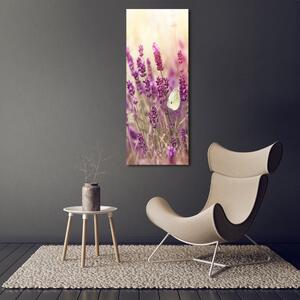 Vertikální Foto obraz na plátně Květy levandule ocv-81033568