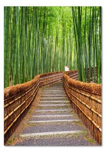 Vertikální Foto obraz sklo tvrzené Bambusový les osv-81607376