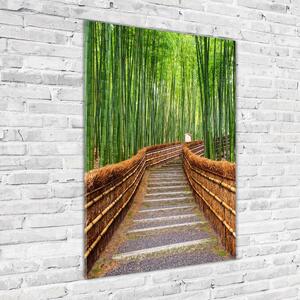 Vertikální Foto obraz sklo tvrzené Bambusový les osv-81607376