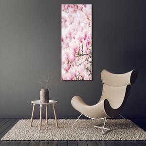 Vertikální Fotoobraz na skle Květy magnolie osv-81680689