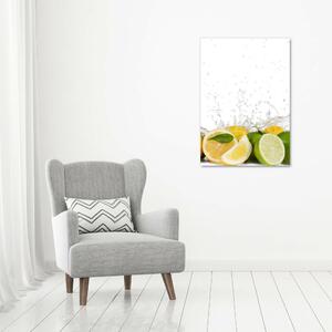 Vertikální Moderní obraz canvas na rámu Citrusy ocv-81760914