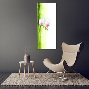 Vertikální Foto obraz na plátně Orchidej a bambus ocv-82165838