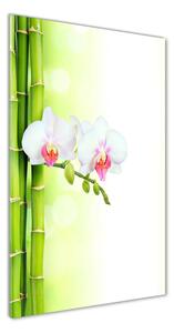 Vertikální Fotoobraz na skle Orchidej a bambus osv-82165838