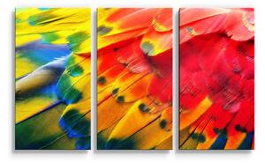 Sablio Obraz - 3-dílný Barevné peří 2 - 120x80 cm