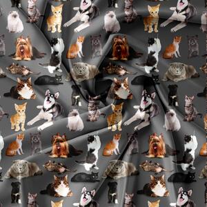 Povlečení z mikrovlákna DOGS AND CATS tmavě šedé Rozměr povlečení: 70 x 80 cm | 140 x 200 cm