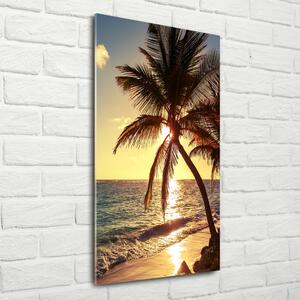 Vertikální Foto obraz skleněný svislý Tropická pláž osv-83274893