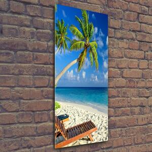 Vertikální Foto obraz skleněný svislý Tropická pláž osv-83358985