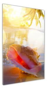 Vertikální Fotoobraz na skle Mušle na pláži osv-83555961