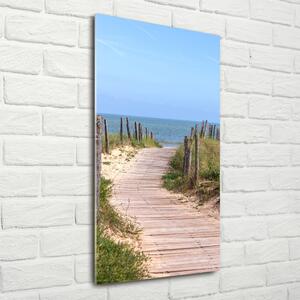 Vertikální Foto obraz skleněný svislý Stezka na pláž osv-84956196