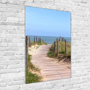 Vertikální Foto obraz skleněný svislý Stezka na pláž osv-84956196