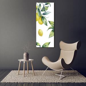 Vertikální Moderní obraz canvas na rámu Citrony ocv-85316646