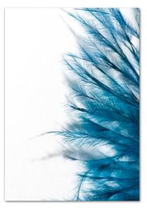 Vertikální Foto obraz skleněný svislý Modré pírka osv-85450121