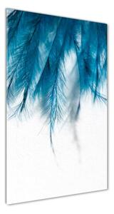 Vertikální Foto obraz skleněný svislý Modré pírka osv-85450121
