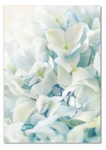 Vertikální Fotoobraz na skle Květ hortensie osv-85998494